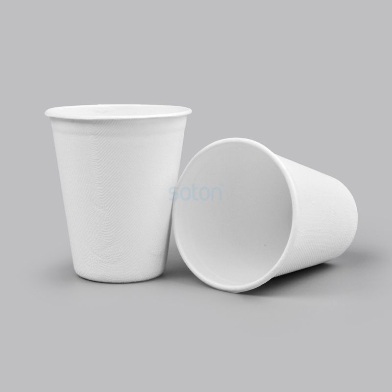 Disposable Biodegradable Sugarcane Bagasse Cup 8oz/12oz/16oz