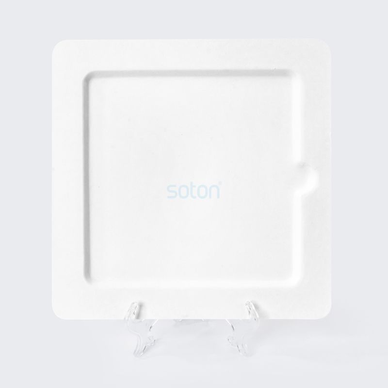 Disposable Biodegradable Sugarcane Bagasse Square Plate