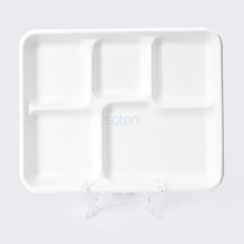 Disposable Biodegradable Sugarcane Bagasse 5 Compartments Square Plate