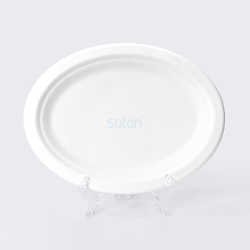 Disposable Biodegradable Sugarcane Bagasse Oval Plate