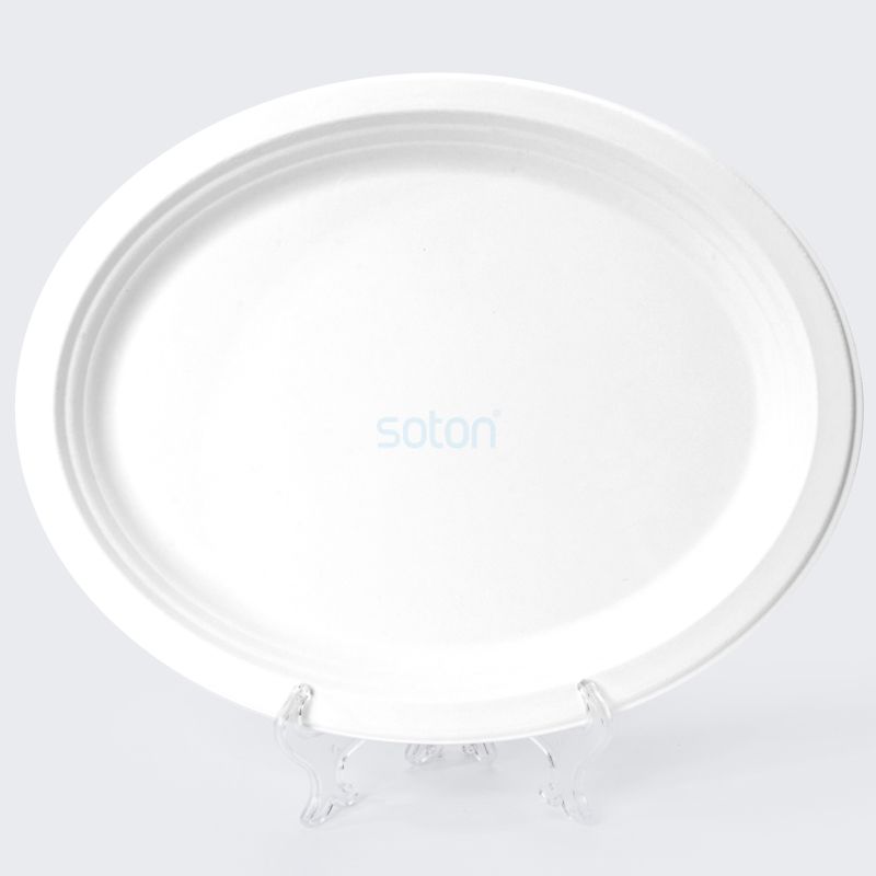 Disposable Biodegradable Sugarcane Bagasse Oval Plate