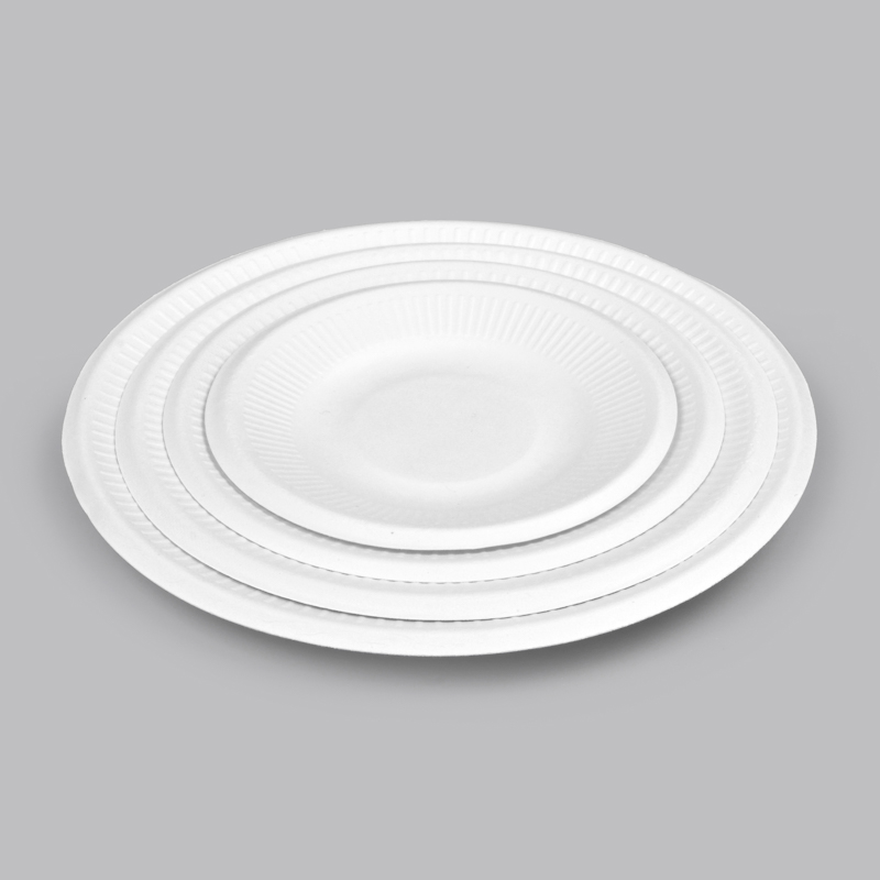 Disposable Biodegradable Sugarcane Bagasse Dish 5''/6''/7''/8''