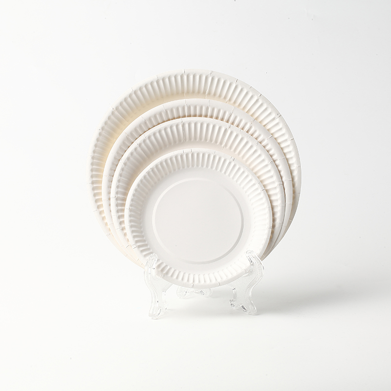 The Future of Disposable Paper Plates: How Sustainable Materials Are Shaping the Industry